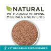 Purina ONE Chicken Recipe Natural Pate Wet Cat Food 3 oz Can